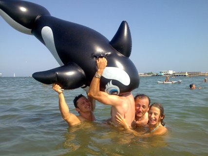 orca